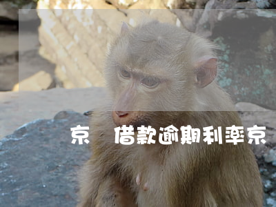 京東借款逾期利率(京東逾期貸款能下來嗎)
