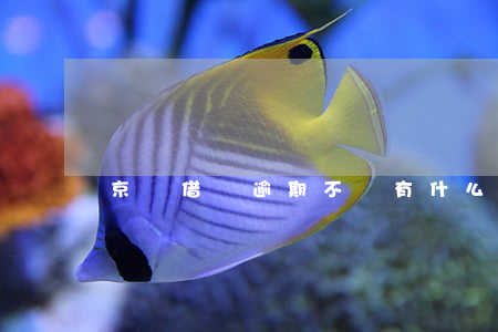 京東借貸逾期不還有什么后果