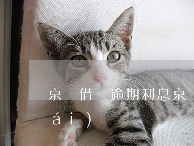 京東借貸逾期利息(京東逾期貸款能下來(lái)嗎)