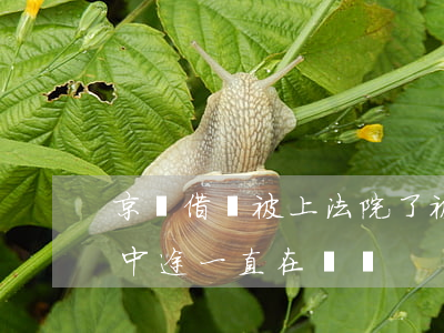 京東借錢被上法院了(被京東起訴到了法院,但中途一直在還錢)