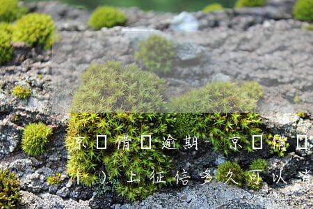 京東借錢逾期-京東借錢逾期多久會(huì)上征信多久可以消除