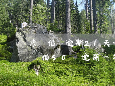 京東借錢逾期21天,之后還了,就不能再借（京東借50萬逾期一年）
