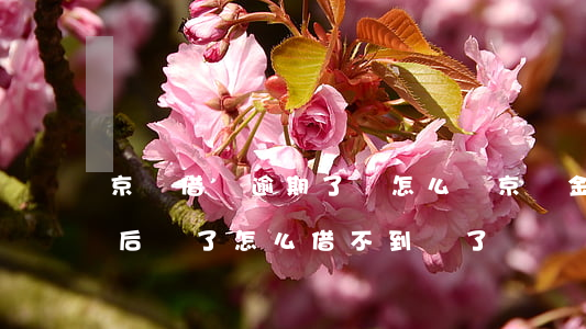 京東借錢逾期了會怎么樣(京東金融借錢逾期后還了怎么借不到錢了)