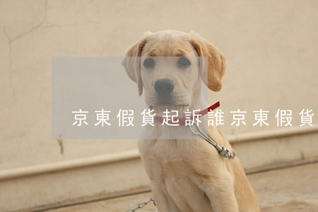 京東假貨起訴誰(京東假貨起訴誰)