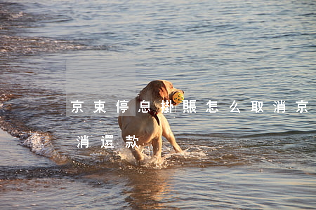 京東停息掛賬怎么取消(京東停息掛賬怎么取消還款)