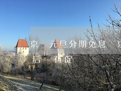 京東元旦分期免息嗎(京東元旦過(guò)后還有促銷嗎)