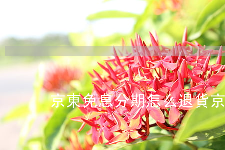 京東免息分期怎么退貨(京東免息分期付款)