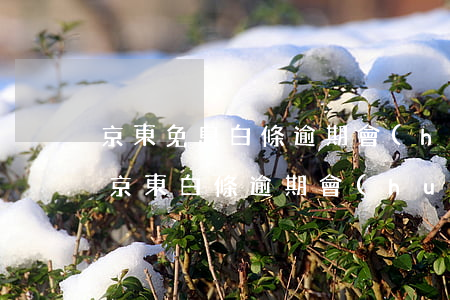 京東免息白條逾期會(huì)上征信嗎-京東白條逾期會(huì)不會(huì)上征信?