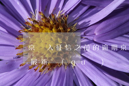 京東入征信之前的逾期(京東逾期多久上征信 最新規(guī)則搶先看)