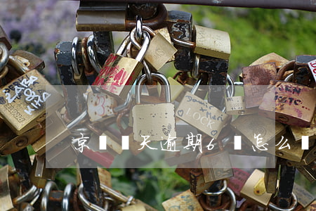 京東兩天逾期6筆怎么辦