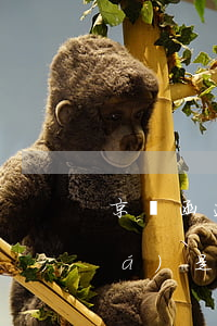 京東函速達(dá)是什么(京東函速達(dá)是什么快遞)