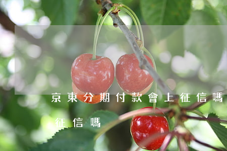 京東分期付款會上征信嗎（京東逾期再分期上征信嗎）