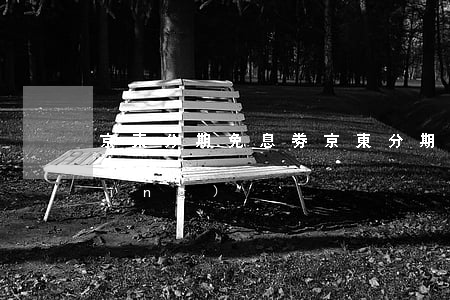 京東分期免息劵(京東分期免息劵到哪領(lǐng))