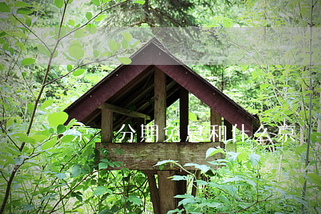 京東分期免息和什么(京東分期付款免息)