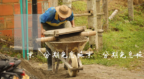 京東分期免息嘛(京東分期免息嘛是真的嗎)