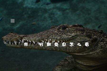 京東分期免息怎么看