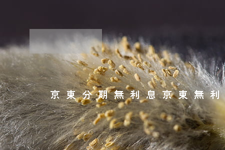 京東分期無利息(京東無利息分期付款)