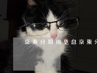 京東分期用免息(京東分期免息是什么意思)