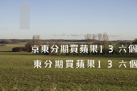 京東分期買蘋果13六個月大概多少錢-京東分期買蘋果13六個月大概多少錢啊