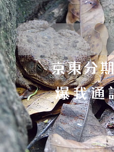 京東分期貸款逾期(我在京東金融貸款逾期了,爆我通訊錄)