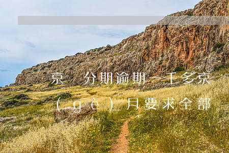 京東分期逾期一千多 京東白條分期逾期一個(gè)月要求全部還清