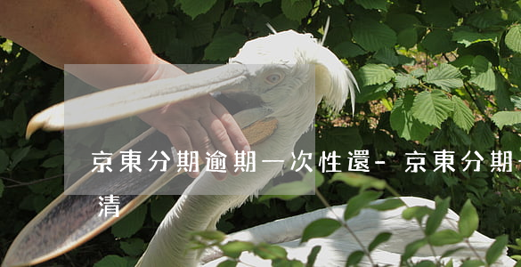 京東分期逾期一次性還-京東分期一次性還清