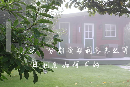 京東分期逾期利息怎么算的(京東借款分期按日利息如何算的)
