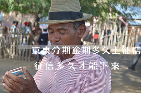 京東分期逾期多久上征信-京東逾期一次,上征信多久才能下來