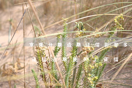 京東分期逾期征信影響多久(京東逾期多久上征信?逾期幾天上征信)