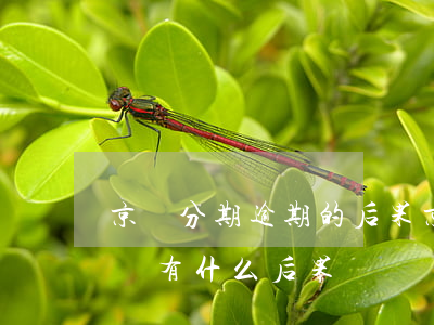 京東分期逾期的后果(京東金融逾期三個月了會有什么后果?)