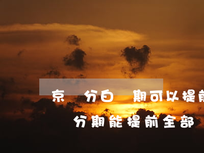 京東分白條期可以提前全部還款嗎-京東白條分期能提前全部還款嗎
