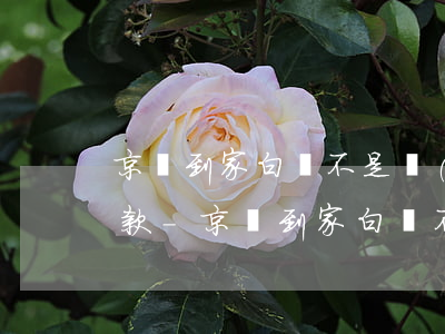 京東到家白條不是儲(chǔ)蓄卡怎么還款-京東到家白條不是儲(chǔ)蓄卡怎么還款呢