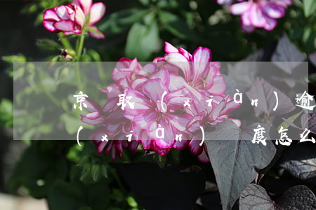 京東取現(xiàn)逾期怎么算 京東取現(xiàn)額度怎么長(zhǎng)