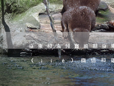 京東和支付寶逾期(京東和支付寶逾期會凍結(jié)微信和銀行卡)