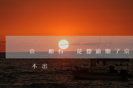 京東和有錢花都逾期了(京東有錢花有額度借不出)
