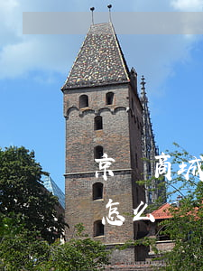 京東商城征信逾期怎么辦（京東商城征信逾期怎么辦）