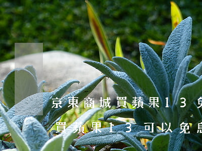 京東商城買蘋果13免息分期付款嗎-京東買蘋果13可以免息分期嗎