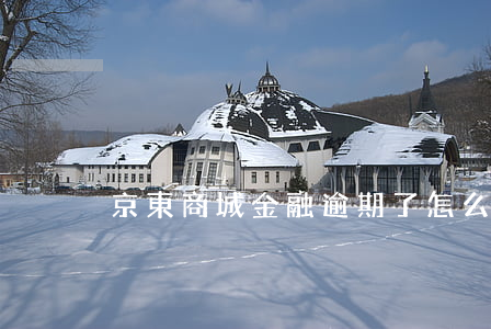 京東商城金融逾期了怎么辦