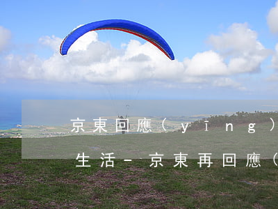 京東回應(yīng)神州起訴為了我更好生活-京東再回應(yīng)神舟起訴