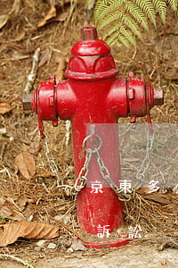 京東多少會起訴-京東會為了1000塊錢訴訟