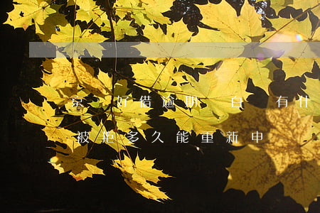 京東好借逾期對白條有什么影響-京東好借被拒多久能重新申請