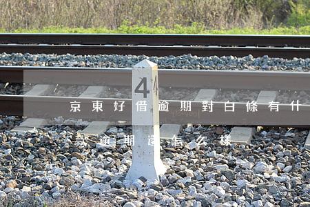 京東好借逾期對白條有什么影響(京東白條借款逾期還怎么樣)