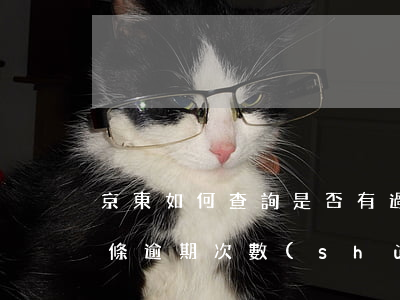 京東如何查詢是否有過逾期 怎么查看京東白條逾期次數(shù)