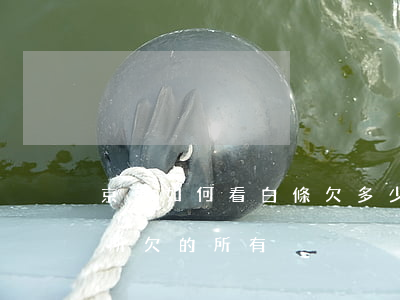 京東如何看白條欠多少(京東白條怎么看自己所欠的所有)