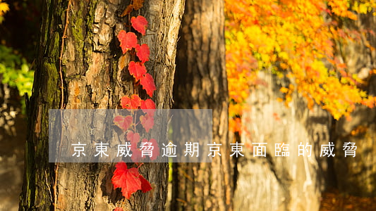 京東威脅逾期(京東面臨的威脅)