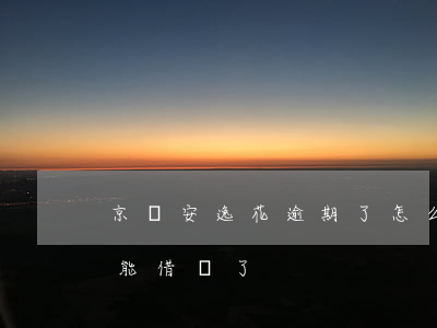 京東安逸花逾期了怎么辦最好(京東安逸花不能借錢了)