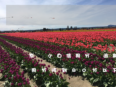 京東小白信用分無逾期也降分-京東小白信用分降到80分以下屬于什么
