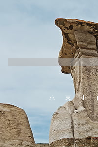 京東小白條逾期影響征信(京東白條 逾期 征信)