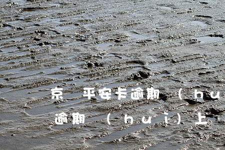 京東平安卡逾期會(huì)上征信嗎(京東逾期會(huì)上報(bào)影響征信么,不是故意的)