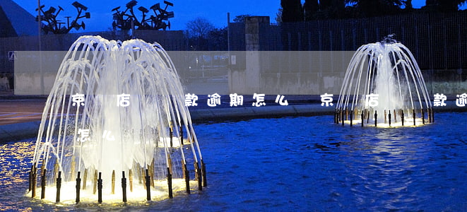 京東店鋪貸款逾期怎么辦(京東店鋪貸款逾期怎么辦)